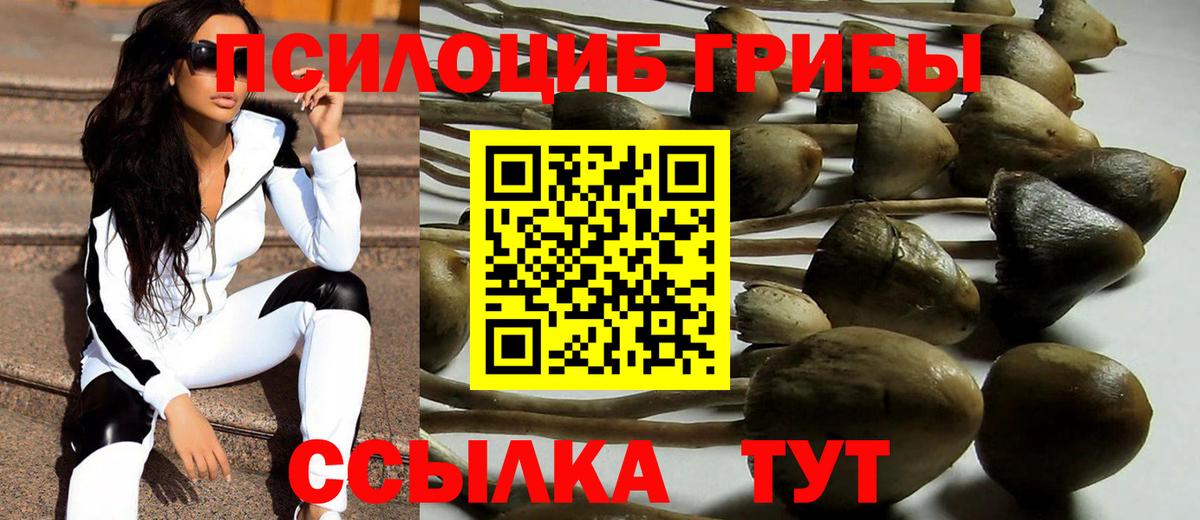 Псилоцибиновые грибы GOLDEN TEACHER Камень-на-Оби