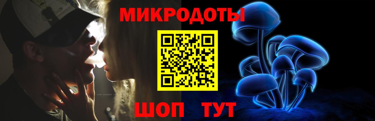 как найти закладки  Галлюциногенные грибы мухоморы  Вход с VPN  Камень-на-Оби  Галлюциногенные грибы мухоморы 